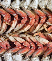 Dungeness Crab Clusters